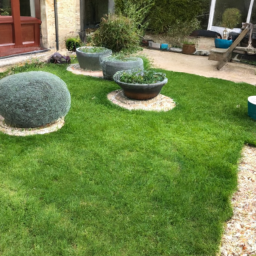 Techniques de taille pour maintenir un jardin esthétique et en bonne santé Vierzon